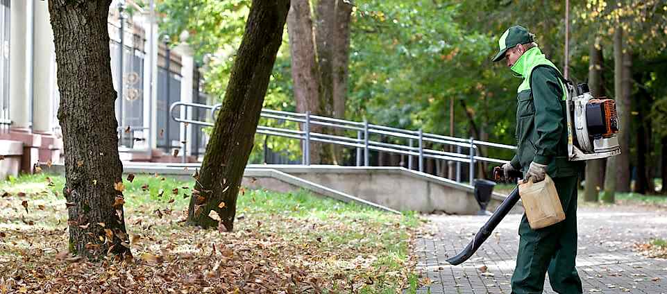 park & bahçe bakımı ve peyzaj