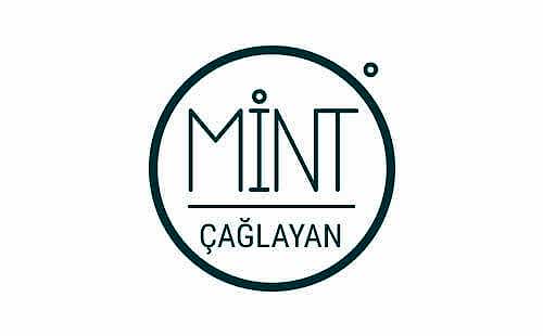 mint çağlayan güvenlik