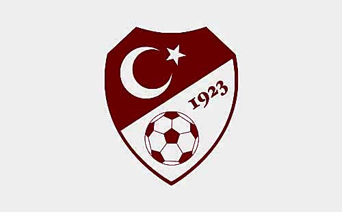 türkiye futbol federaasyonu özel güvenlik